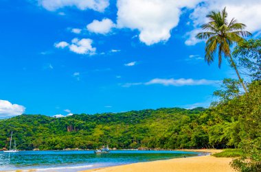 Muhteşem Mangrove plajı ve Pouso plajı Büyük tropikal ada Ilha Grande Rio de Janeiro Brezilya.