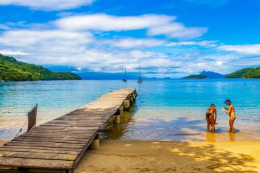 Ilha Grande Brezilya 23 numara. Kasım 2020 Muhteşem Mangrove plajı ve Pouso sahili ahşap iskeletiyle büyük tropik ada Ilha Grande Rio de Janeiro Brezilya.