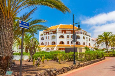 Tenerife İspanya 12. Temmuz 2014 Hindistan cevizi ağaçları tatil beldeleri ve Playa de las Americas 'taki manzara manzarası Kanarya İspanyol adası Tenerife, Afrika.