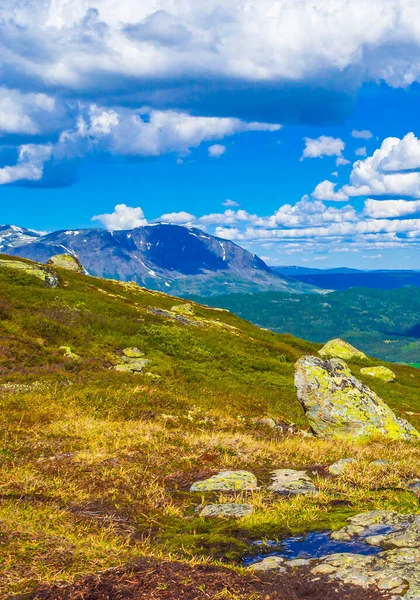 Piękna Panorama Doliny Norwegia Hydalen Hemsedal Śniegiem Górach Lecie — Zdjęcie stockowe