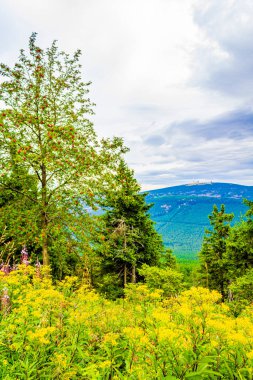 Wurmberg Braunlage Goslar Aşağı Saksonya Almanya 'sından Harz dağlarındaki Brocken Dağı' nın tepesindeki manzara manzarası