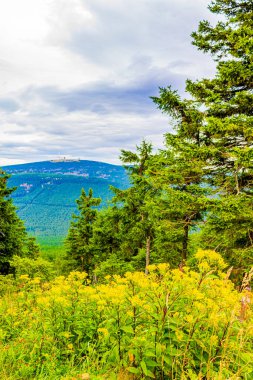 Wurmberg Braunlage Goslar Aşağı Saksonya Almanya 'sından Harz dağlarındaki Brocken Dağı' nın tepesindeki manzara manzarası