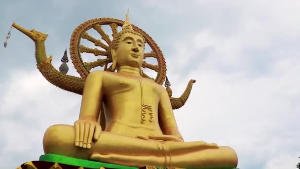 Obrovská Zlatá Socha Velkého Buddhy Wat Phra Yai Chrámu Ostrově — Stock video