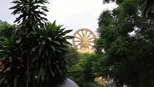 Giant Golden Big Buddha Statue Wat Phra Yai Temple Koh — Stock Video