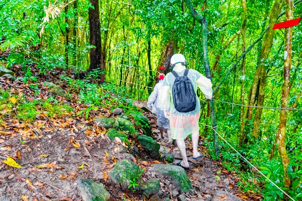 Tourists in rain poncho and helmet walks in tropical jungle forest hiking trail and path on Koh Samui in Surat Thani Thailand.