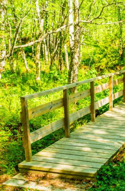 Hemsedal Norveç 'teki Rjukandefossen şelalesi üzerindeki küçük tahta köprü ve patika..