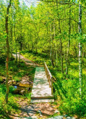 Hemsedal Norveç 'teki Rjukandefossen şelalesi üzerindeki küçük tahta köprü ve patika..