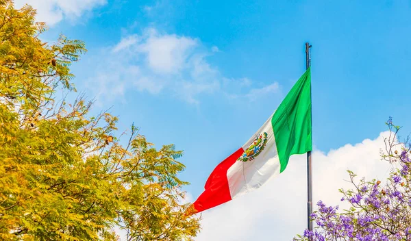 Meksika Bayrağı Yeşil Kırmızı Mavi Gökyüzü Meksika Nın Merkezinde — Stok fotoğraf