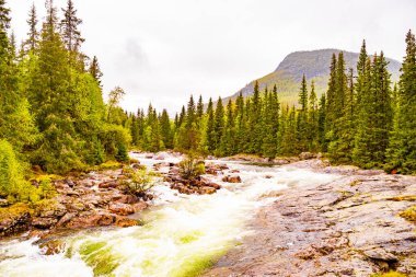 Hemsedal Viken Norveç 'teki Rjukandefossen şelalesinin hızlı akan nehir suyu.
