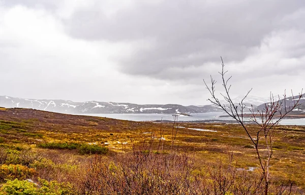 Erstaunliches Vavatn Seepanorama Raue Landschaft Blick Felsen Felsen Und Berge — Stockfoto