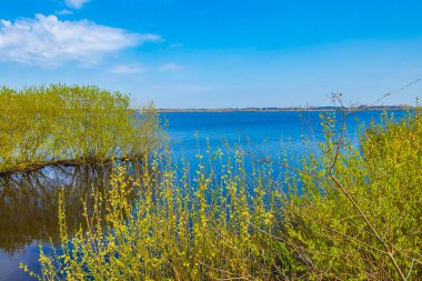 Kötü Bederkesa Gölü Güneşli bir günde ve Geestland Cuxhaven Aşağı Saksonya Almanya 'sında doğal manzara.
