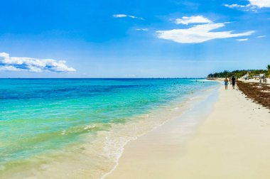 Playa del Carmen Meksika 'da tropik Meksika plajı 88 Punta Esmeralda.