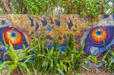 Playa del Carmen Meksika 04. Nisan 2021 Leopar kaplan gözlü sanat duvarları Playa del Carmen Quintana Roo Mexico 'da resimler ve graffiti.