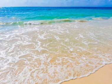 Playa del Carmen Meksika 'da tropik Meksika plajı 88 Punta Esmeralda.