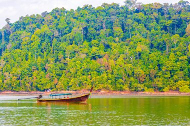 Ranong Tayland 'daki Koh Phayam Ao Kwai Sahili manzaralı tropik cennet adasında uzun kuyruklu tekne..