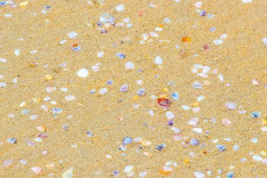 Beach sand with pebbles colorful shells and water texture pattern in Patong Beach Kathu District Phuket Island Province Southern Thailand in Southeast Asia.