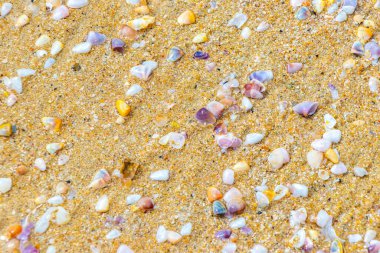Beach sand with pebbles colorful shells and water texture pattern in Patong Beach Kathu District Phuket Island Province Southern Thailand in Southeast Asia.