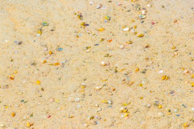 Beach sand with pebbles colorful shells and water texture pattern in Patong Beach Kathu District Phuket Island Province Southern Thailand in Southeast Asia.