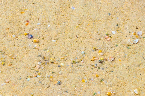Beach sand with pebbles colorful shells and water texture pattern in Patong Beach Kathu District Phuket Island Province Southern Thailand in Southeast Asia.