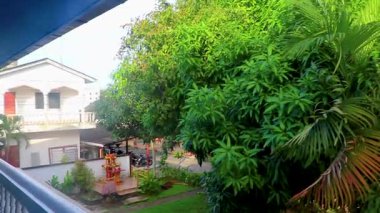 Güneydoğu Asya 'daki Patong Sahili Phuket Adası Bölgesi' ndeki otel binasının güzel tropikal palmiye ağaçları..