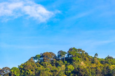 Tropical mountain with jungle forest trees plants clouds and blue sky in Patong Beach Kathu District Phuket Island Province Southern Thailand in Southeast Asia.