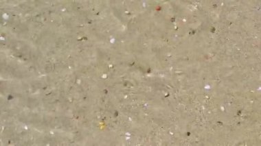 Beach sand with pebbles colorful shells and water texture pattern in Patong Beach Kathu District Phuket Island Province Southern Thailand in Southeast Asia.