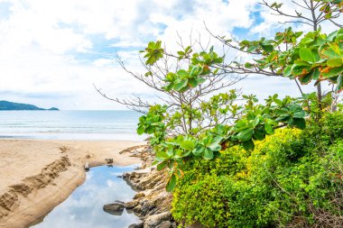 Güneydoğu Asya 'daki Güney Tayland' da Patong Sahili Kathu Bölgesi Phuket Adası Eyaleti 'nde turkuaz mavi su dalgaları palmiye ağaçları ve kayalarla inanılmaz kayalık tropikal manzara manzarası..