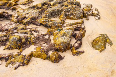 Güneydoğu Asya 'daki Güney Tayland' da Patong Sahili Kathu Bölgesi Phuket Adası Eyaleti 'nde turkuaz mavi su dalgaları ve kayalarla inanılmaz kayalık tropikal manzara manzarası..