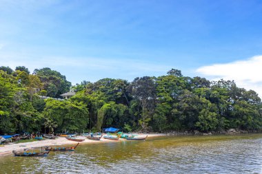 Kathu Bölgesi Phuket Eyaleti Tayland 13. Ekim 2025 'te, Patong Sahili Phuket Tayland' da mavi turkuaz su ve tropikal orman manzaralı sahilde uzun kuyruklu tekneler..