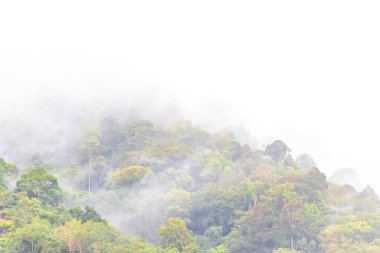 Orman ağaçlı tropik dağ dağları Güneydoğu Asya 'da Güney Tayland' da Patong Sahili Kathu Bölgesi Phuket Adası 'nda gökyüzüne yağmur bulutları ve sisli sis salar..