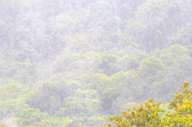 Tropik dağ dağları orman ağaçları yağmur bulutları muson yağmurları ve sis bulutları Güneydoğu Asya 'da Patong Sahili' nde Kathu Phuket Adası 'nda.