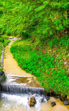 Güneydoğu Asya 'daki Patong Sahili Kathu Bölgesi Phuket Adası Güney Tayland' da tropik yeşil nehir kanalı ve şelalesi..