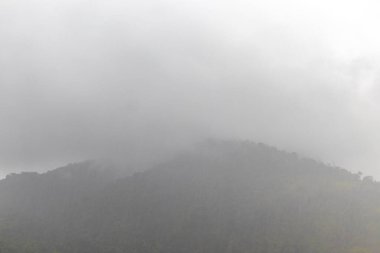 Tropikal dağ tepeleri orman ağaçları bulutlu sis bulutlu sis ve karanlık gökyüzü Angra dos Reis Rio de Janeiro Brezilya 'da.