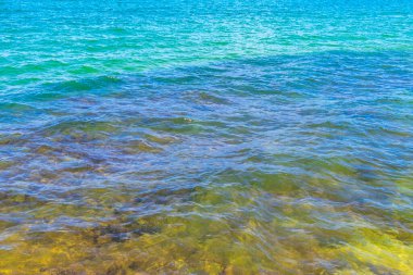 Rio de Janeiro Brezilya 'nın Angra dos Reis eyaletindeki sahil kıyılarında turkuaz yeşil sularda kaya kayaları..