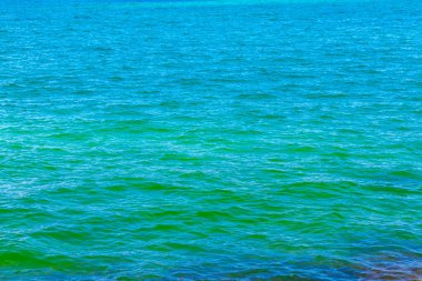 Rio de Janeiro Brezilya 'nın Angra dos Reis eyaletindeki sahil kıyılarında turkuaz yeşil sularda kaya kayaları..