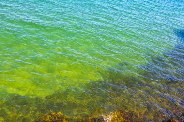 Rio de Janeiro Brezilya 'nın Angra dos Reis eyaletindeki sahil kıyılarında turkuaz yeşil sularda kaya kayaları..