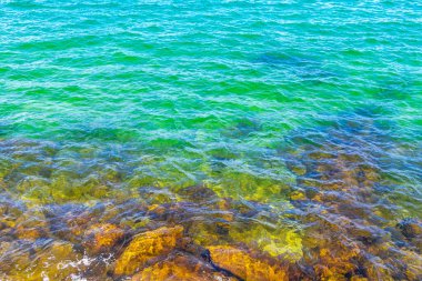 Rio de Janeiro Brezilya 'nın Angra dos Reis eyaletindeki sahil kıyılarında turkuaz yeşil sularda kaya kayaları..