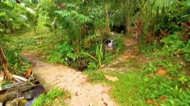 Green river stream in tropical nature with plants and flowers in Patong Beach Kathu District Phuket Island Province Southern Thailand in Southeast Asia.