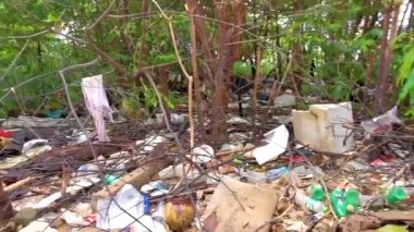 Kathu Phuket Tayland 22 numara. Ekim 2025 Güneydoğu Asya 'da Patong Sahili' nde Kathu Bölgesi Phuket Adası Bölgesi Güney Tayland 'da çöpte sürünecek çok sayıda şişman sıçan var..