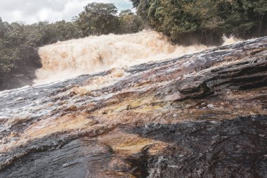 Kızıl nehir suyu ve şelale Cachoeira Sucuriju turuncu sarı kahverengi renkler tropikal orman doğasında doğa ve Brezilya 'nın Amazon eyaletinde yağmur ormanları.