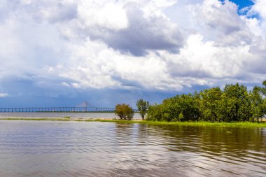 Rio Negro ve Amazon Nehri 'nin suları, tropikal orman yağmur ormanları ve Iranduba Manaus Brezilya' nın Amazonas eyaletinde bulunan Ponte Rio Negro Phelippe Daou köprüsü ile tekne turu yapıyor..
