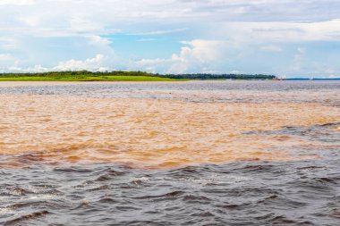 Rio Negro 'nun karasu suyu Amazon Nehri' nin beyaz suyu ve tropikal orman yağmur ormanı ve Iranduba Manaus Manaus Brezilya 'da mavi bulutlu gökyüzü ile tekne turu..
