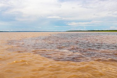 Rio Negro 'nun karasu suyu Amazon Nehri' nin beyaz suyu ve tropikal orman yağmur ormanı ve Iranduba Manaus Manaus Brezilya 'da mavi bulutlu gökyüzü ile tekne turu..
