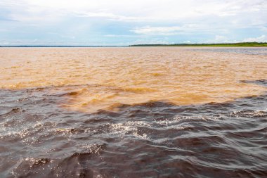 Rio Negro 'nun karasu suyu Amazon Nehri' nin beyaz suyu ve tropikal orman yağmur ormanı ve Iranduba Manaus Manaus Brezilya 'da mavi bulutlu gökyüzü ile tekne turu..