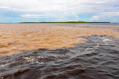 Rio Negro 'nun karasu suyu Amazon Nehri' nin beyaz suyu ve tropikal orman yağmur ormanı ve Iranduba Manaus Manaus Brezilya 'da mavi bulutlu gökyüzü ile tekne turu..