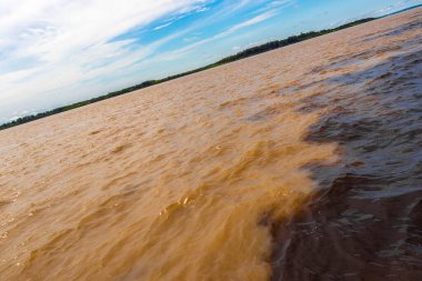 Rio Negro 'nun karasu suyu Amazon Nehri' nin beyaz suyu ve tropikal orman yağmur ormanı ve Iranduba Manaus Manaus Brezilya 'da mavi bulutlu gökyüzü ile tekne turu..