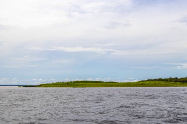 Rio Negro 'nun karasu suyu Amazon Nehri' nin beyaz suyu ve tropikal orman yağmur ormanı ve Iranduba Manaus Manaus Brezilya 'da mavi bulutlu gökyüzü ile tekne turu..