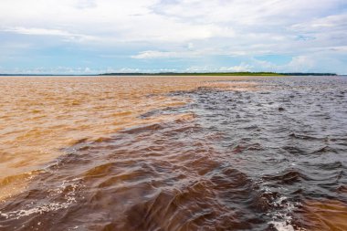 Rio Negro 'nun karasu suyu Amazon Nehri' nin beyaz suyu ve tropikal orman yağmur ormanı ve Iranduba Manaus Manaus Brezilya 'da mavi bulutlu gökyüzü ile tekne turu..