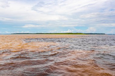 Rio Negro 'nun karasu suyu Amazon Nehri' nin beyaz suyu ve tropikal orman yağmur ormanı ve Iranduba Manaus Manaus Brezilya 'da mavi bulutlu gökyüzü ile tekne turu..