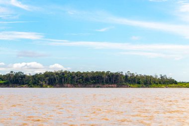 Rio Negro 'nun karasu suyu Amazon Nehri' nin beyaz suyu ve tropikal orman yağmur ormanı ve Iranduba Manaus Manaus Brezilya 'da mavi bulutlu gökyüzü ile tekne turu..